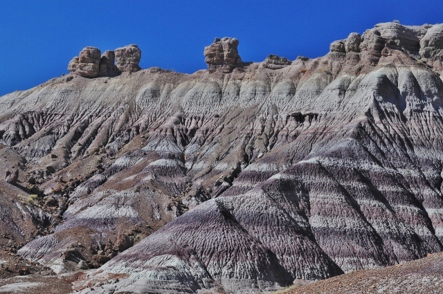 The Blue Mesa Trail